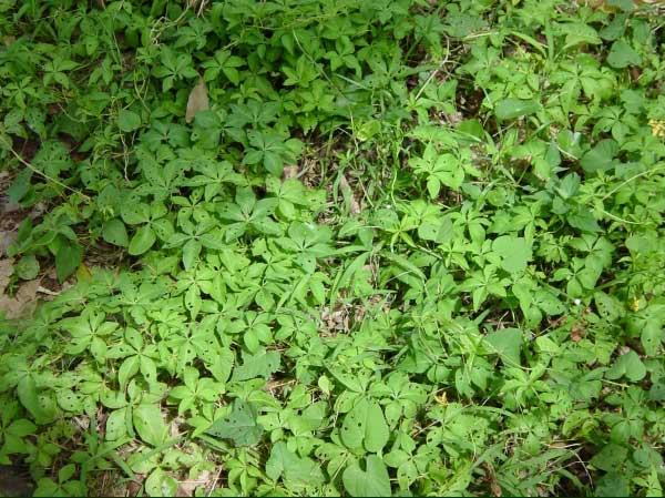 koali_ai.jpgborder=0