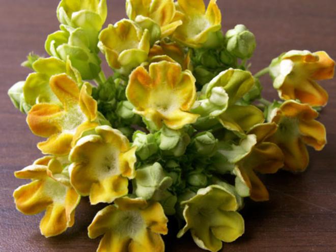 pakalana.jpgborder=0