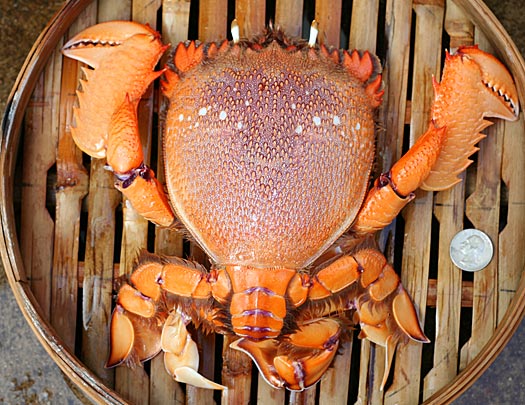 papaikualoa.jpgborder=0