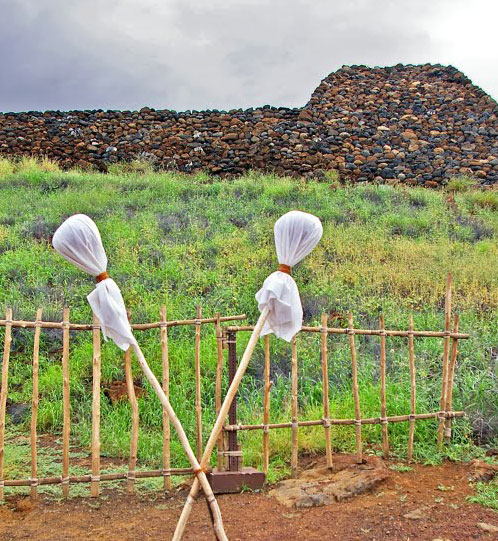 puloulou.jpgborder=0